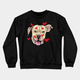 Cute Pitbull Dog Hearts Funny Valentine's Day Design Crewneck Sweatshirt